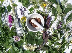 Herbs for the treatment of osteochondrosis